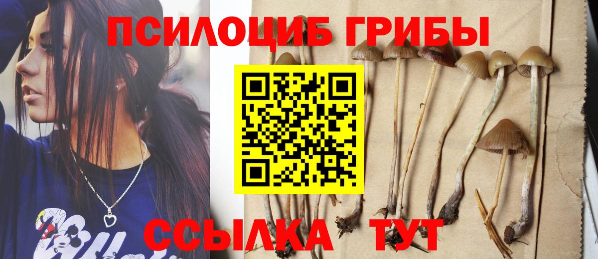 Псилоцибиновые грибы прущие грибы Буйнакск